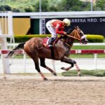 La Sensacional, horse, King Seraf, Clásico Simón Rodríguez, domingo, 7 de agosto de 2022, La Rinconada. Foto: José Antonio Aray