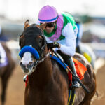 Laurel River, horse, Into Mischief, Pat O´Brien Stakes, sábado, 27 de agosto de 2022, Santa Anita Park. Foto: Benoit Photo