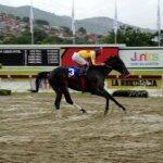 Philomena, horse, Haras La Orlyana, Clásico Gelinotte, domingo, 14 de agosto de 2022, La Rinconada. Foto: José Antonio Aray