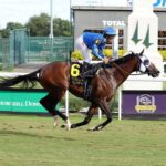 Santin, Horses, Distorted Humor, Arlington Million, sábado, 13 de agosto de 2022, Churchill Downs. Foto: Coady Photography