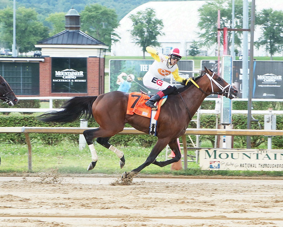 Skippylongstocking, horse, Exaggerator, West Virginia Derby, sábado, 6 de agosto de 2022, Mountaineer Casino. Foto: Coady Photography