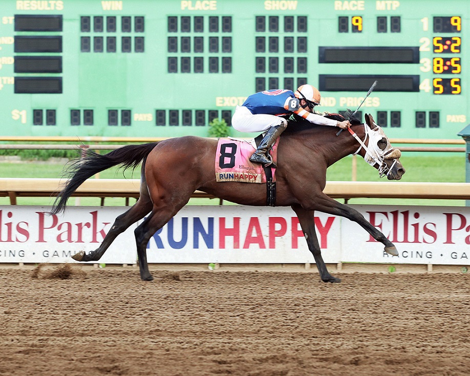 Steal Sunshine, Horses, Constitution, Ellis Park Derby, domingo, 14 de agosto de 2022, Ellis Park. Foto: Coady Photography
