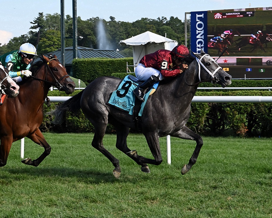 Caravel, horse, Mizzent Mast, Smart N Fancy Stakes, sábadp, 20 de agosto de 2022, Saratoga. Foto: Coglaniese Photo & Susie Raisher