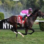 Casa Creed, horse, Jimmy Creed, Fourstardave Handicap, sábado, 13 de agosto de 2022, Saratoga. Foto: Coglaniese Photo & Susie Raisher