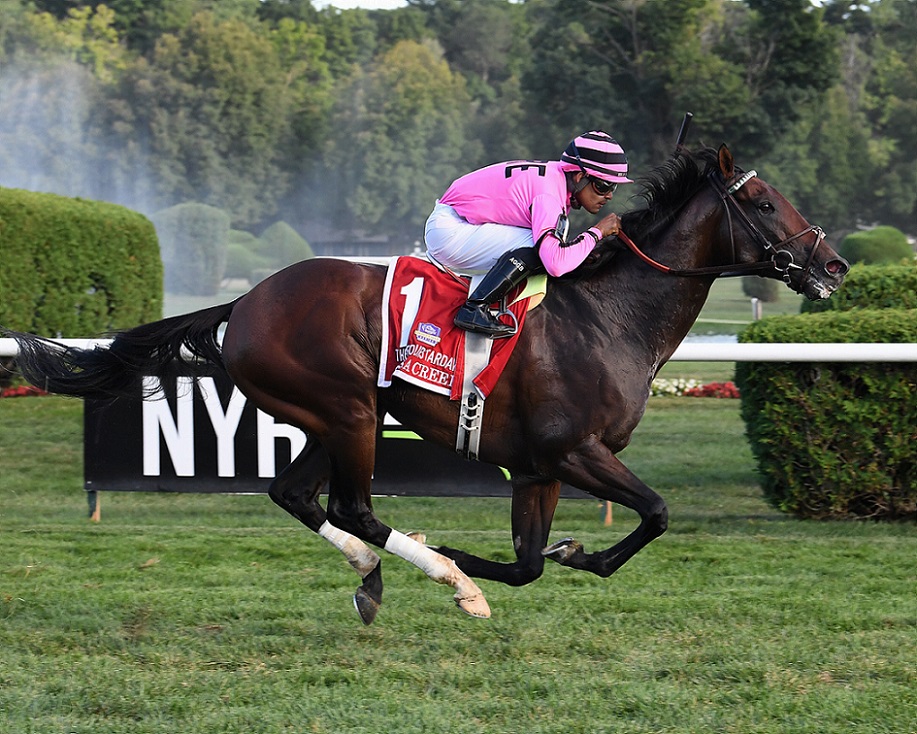 Casa Creed, horse, Jimmy Creed, Fourstardave Handicap, sábado, 13 de agosto de 2022, Saratoga. Foto: Coglaniese Photo & Susie Raisher