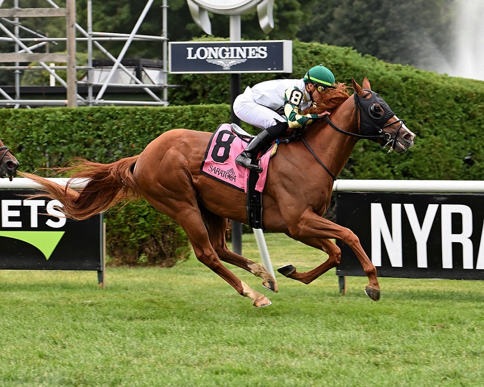 Dakota Gold, horse, Freud, NYSSS Cab Calloway, miércoles, 17 de agosto de 2022, Saratoga. Foto: Coglaniese Photo & Susie Raisher