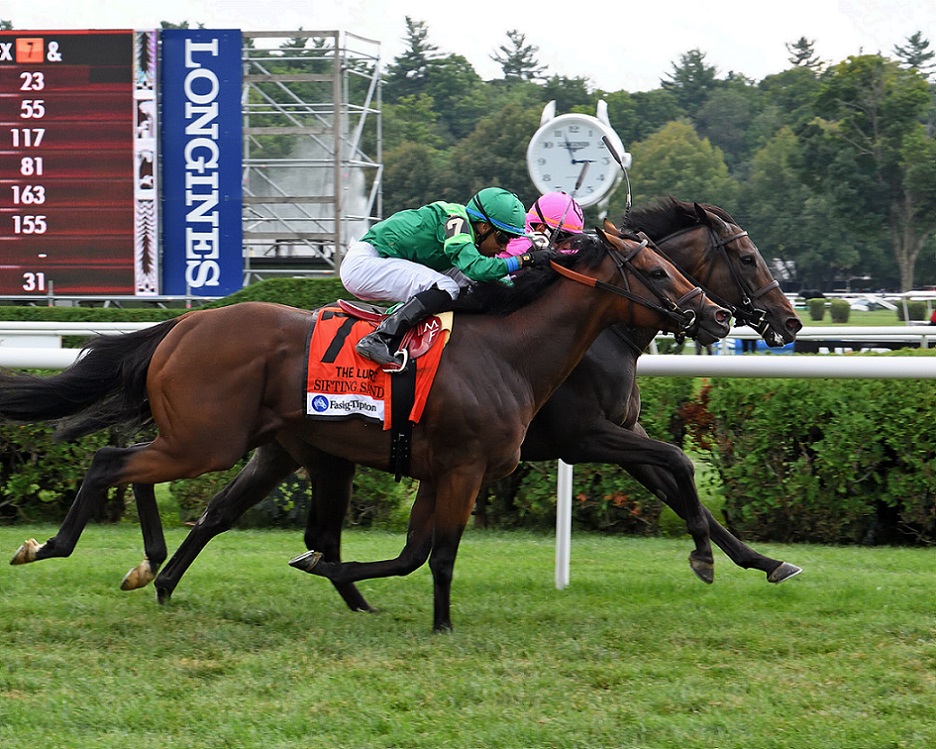 Dynadrive, horse, Spendthrift en Kentucky., Fasig-Tipton Lure Stakes, sábado, 6 de agosto de 2022, Saratoga. Foto: Coglaniese Photo & Susie Raisher
