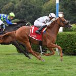 Golden Rocket, horse, Alpha, NYSSS Statue Of Liberty, jueves, 18 de agosto de 2022, Saratoga. Foto: Coglaniese Photo & Susie Raisher