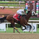Isolate, horse, Mark Valeski, Tale Of The Cat Stakes, miércoles, 10 de agosto de 2022, Saratoga. Foto: Coglaniese Photo & Susie Raisher
