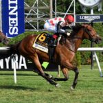 Our Flash Drive, horse, Ghostzapper, De La Rosa Stakes, domingo, 7 de agosto de 2022, Saratoga. Foto: Coglaniese Photo & Susie Raisher