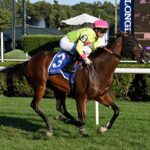 Oxymore, horse, Astern, Skidmore Stakes, viernes, 19 de agosto de 2022, Saratoga. Foto: Coglaniese Photo & Susie Raisher