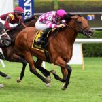 Rockemperor, horse, Holy Roman Emperor, Bowling Green Stakes, domingo, 31 de julio de 2022, Belmont Park. Foto: Coglaniese Photo & Susie Raisher