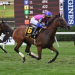 War Like GoddWar Like Goddess, horse, Calumet Farm, Glens Falls Stakes, sábado, 6 de agosto de 2022, Saratoga. Foto: Coglaniese Photo ess, horse, Calumet Farm, Glens Falls Stakes, sábado, 6 de agosto de 2022, Saratoga. Foto: Coglaniese Photo