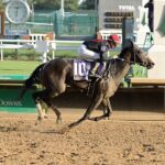 Fun And Feisty, Horses, Lucky Seven Stable, Pocahontas Stakes, sábado, 17 de septiembre de 2022, Churchill Downs. Foto: Coady Photography