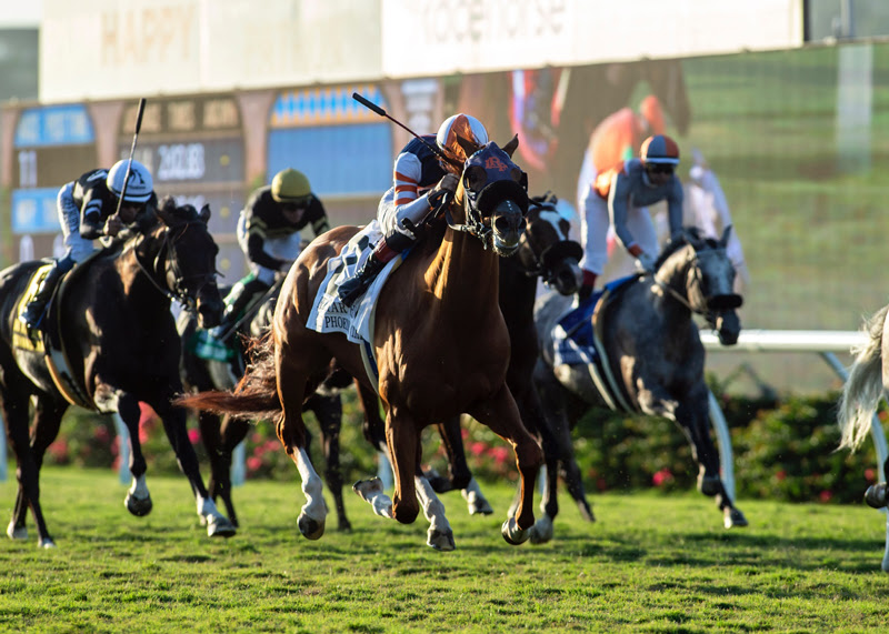 Gold Phoenix, horse, Belardo, Del Mar Hándicap, sábado, 3 de septiembre de 2022, Del Mar. Foto: Benoit Photo