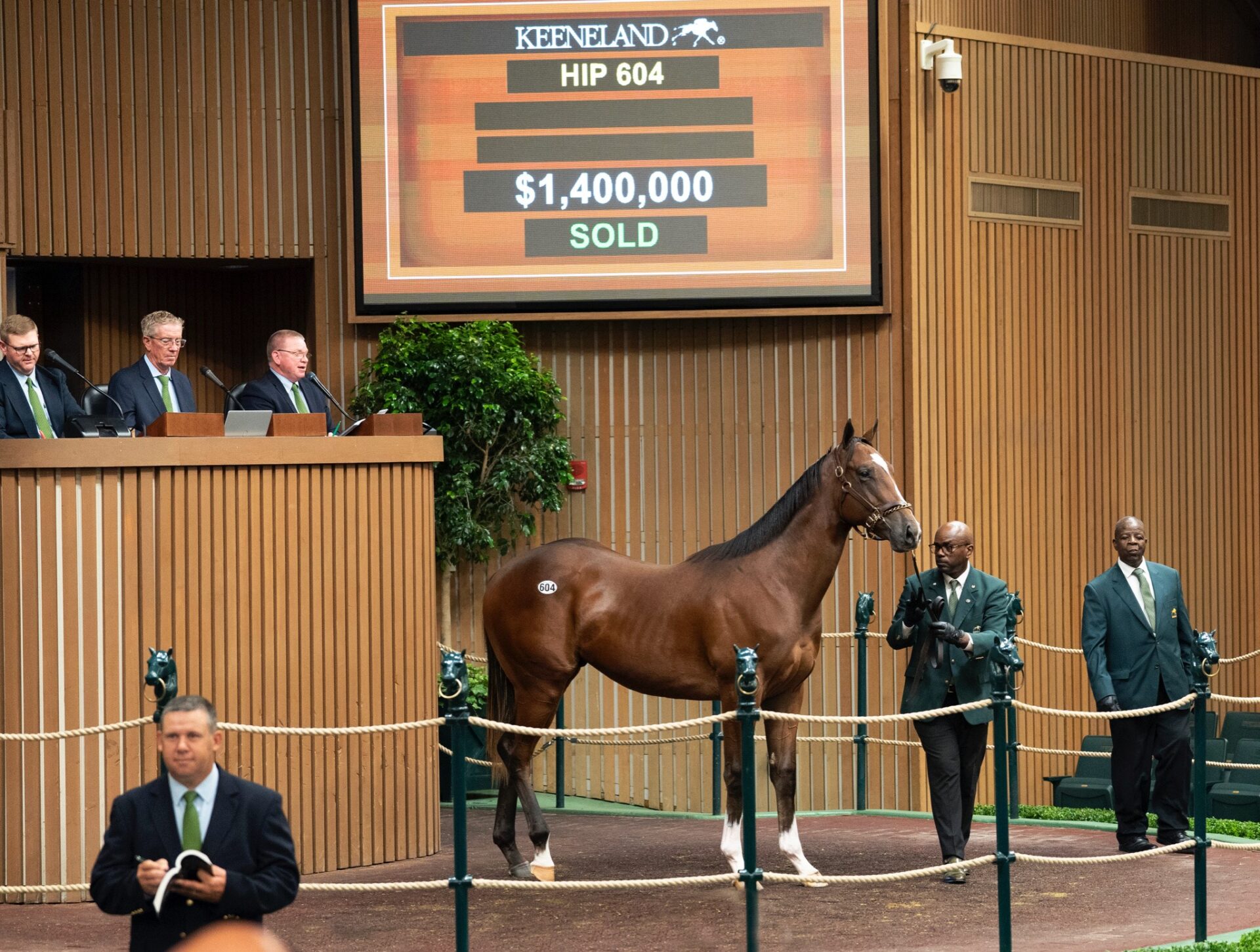Potro castaño hijo de, Into Mischief en Dawn the Destroyer por Speightstown, sesión 3, Keeneland Sales, miércoles, 15 de septiembre de 2022, Keeneland. Foto: Keeneland