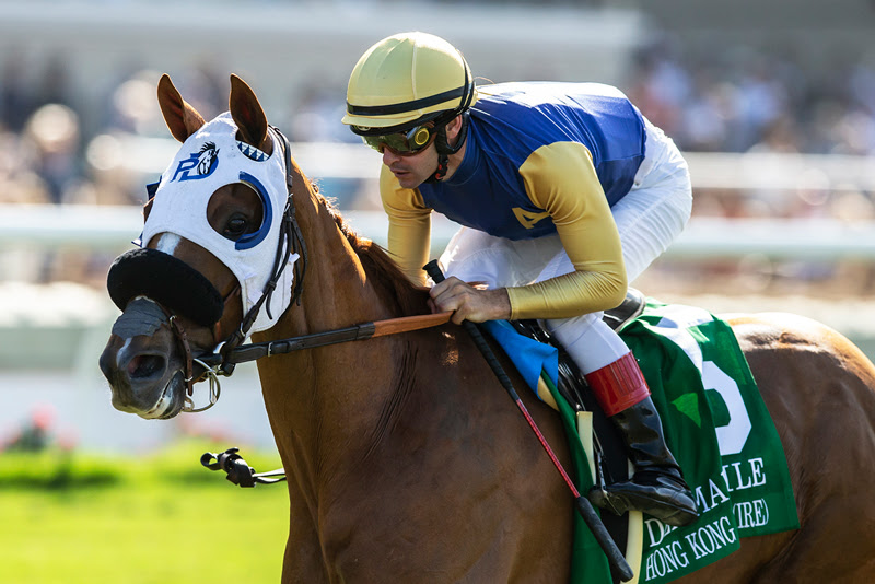 Hong Kong Harry, horse, Es Que Love, Del Mar Mile Stakes, sábado, 3 de septiembre de 2022, Del Mar. Foto: Benoit Photo