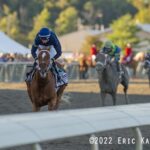 Society, horse, Gun Runner, Cotillion Stakes, sábado, 24 de septiembre de 2022, Parx Racing. Foto: Eric Kalet