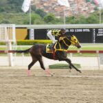 Tequila, horse, Slew´s Tizzy, Clásico Lanzarina, domingo, 25 de septiembre de 2022, La Rinconada. Foto: José Antonio Aray
