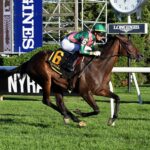 Be Your Best, Muhaarar, P G Johnson Stakes, jueves, 1 de septiembre de 2022, Saratoga. Foto: Coglaniese Photo & Susie Raisher