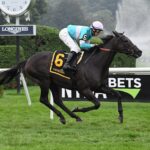 Emaraaty, Dubawi, Bernard Baruch Hándicap, lunes, 5 de septiembre de 2022, Saratoga. Foto: Coglaniese Photo & Susie Raisher