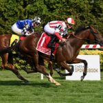 McKulick, horse, Frankel, Jockey Club Oaks Invitational, sábado, 17 de septiembre de 2022, Belmont At The Big A. Foto: Coglaniese Photo & Susie Raisher