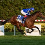 Nations Pride, horse, Godolphin, Caesars Jockey Club Derby Invitational Stakes, sábado, 17 de septiembre de 2022, Belmont At The Big A. Foto: Coglaniese Photo & Susie Raisher