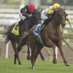 Ready For The Lady, horse, Charles E. Fipke, Singspiel Stakes, domingo, 18 de septiembre de 2022, Woodbine. Michael Burns Photography & Woodbine