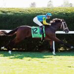Andthewinneris, horse, Oscar Performance, Castle Key Bourbon Stakes, domingo, 9 de octubre de 2022, Keeneland. Foto: Coady Photography