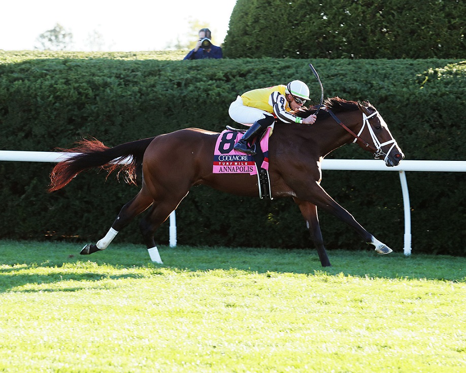 Annapolis, horse, Bass Racing, Fanduel Woodford Stakes, sábado, 8 de octubre de 2022, Keeneland. Foto: Coady Photography
