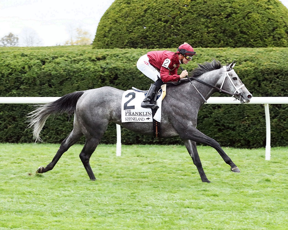 Caravel, horse, Mizzent Mast, Franklin Stakes, domingo, 16 de octubre de 2022, Keeneland. Foto: Coady Photography