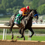 Cave Rock, horse, Arrogate, American Pharoah Stakes, sábado, 8 de octubre de 2022, Santa Anita Park. Foto: Benoit Photo