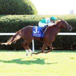 Delight, horse, Augustin Stable, JP Morgan Jessamine Stakes, viernes, 7 de octubre de 2022, Keeneland. Foto: Coady Photography