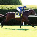 Golden Pal, horse, John y Mrs. Magnier, Fanduel Woodford Stakes, sábado, 8 de octubre de 2022, Keeneland. Foto: Coady Photography