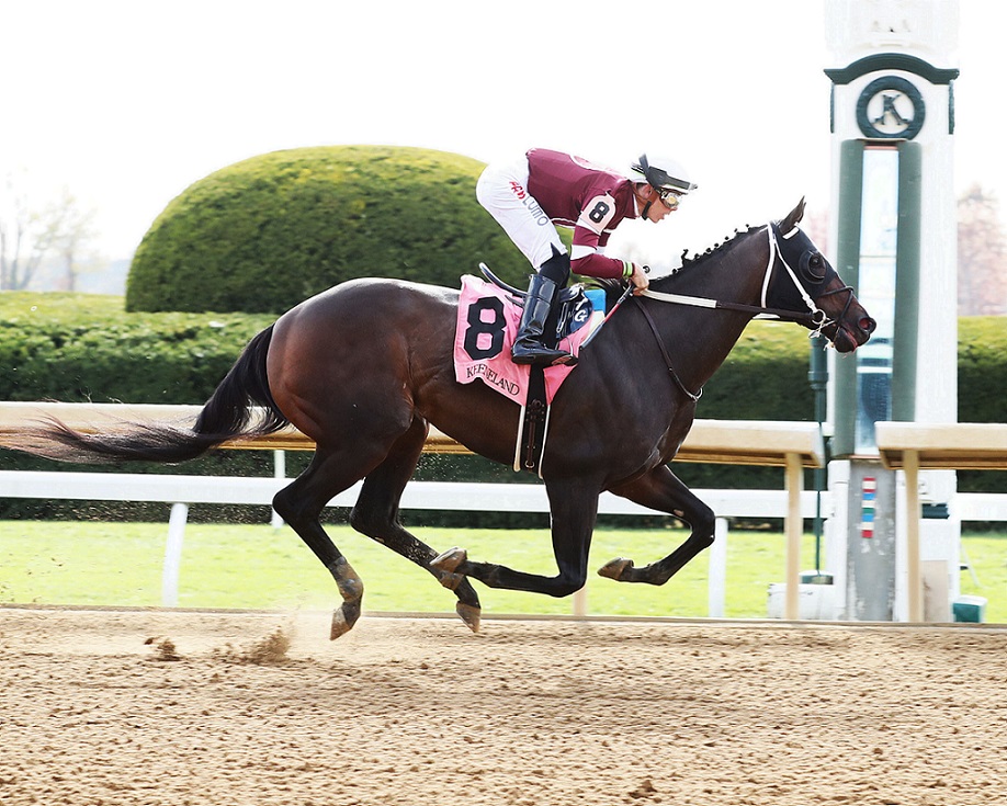Gunite, horse, Gun Runner, Perryville Stakes, Sycamore Stakes, sábado, 22 de octubre de 2022, Keeneland. Foto: Coady Photography