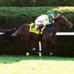 Highland Chief, horse, Gleneagles, Sycamore Stakes,viernes, 14 de octubre de 2022, Keeneland. Foto: Coady Photography