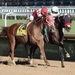 Hot Rod Charlie, horse, Edward A. Cox Jr., Lukas Classic Stakes, sábado, 1 de octubre de 022, Churchill Downs. Foto: Coady Photography
