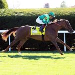 In Italian, horse, Dubawi, Fanduel First Lady Stakes, sábado, 8 de octubre de 2022, Keeneland. Foto: Coady Photography