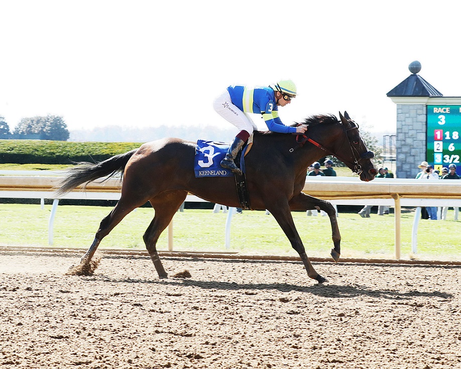 Le Da Vida, Horses, Gemologist, Allowance Optional Claiming, sábado, 29 de octubre de 2022, Keeneland. Foto: Coady Photography
