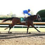 Malathaat, horse, Curlin, Juddmonte Spinster Stakes, domingo, 9 de octubre de 2022, Keeneland. Foto: Coady Photography