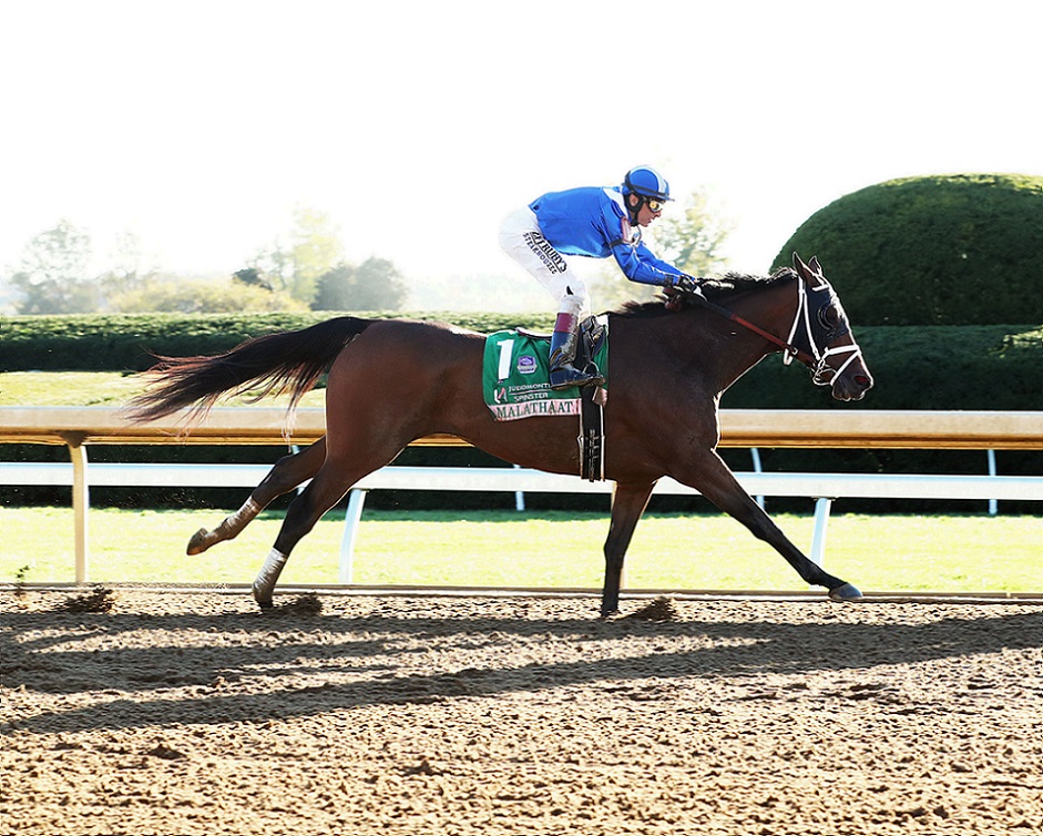 Malathaat, horse, Curlin, Juddmonte Spinster Stakes, domingo, 9 de octubre de 2022, Keeneland. Foto: Coady Photography