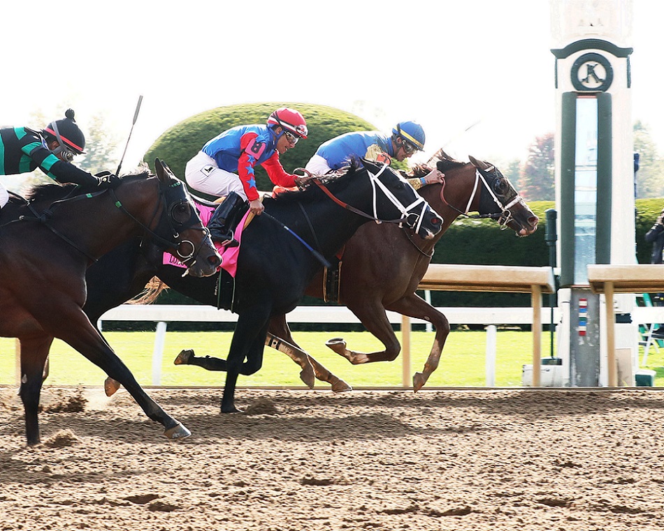 Manny Wah, horse, Modo Tesio Equine, Stoll Keennon Ogden Phoenix Stakes, viernes, 7 de octubre de 2022, Keeneland. Foto: Coady Photography