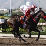 Mufasa, horse, Haras Paso Nevado, Clásico Luis Vera Calderón y Luis Vera Giannini, sábado, 20 de octubre de 2022, Hipódromo Chile. Foto: Jaime Cortés