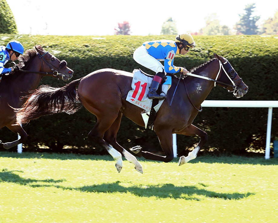 Private Creed, Jimmy Creed, Curlin, Indian Summer Stakes, domingo, 9 de octubre de 2022, Keeneland. Foto: Coady Photography