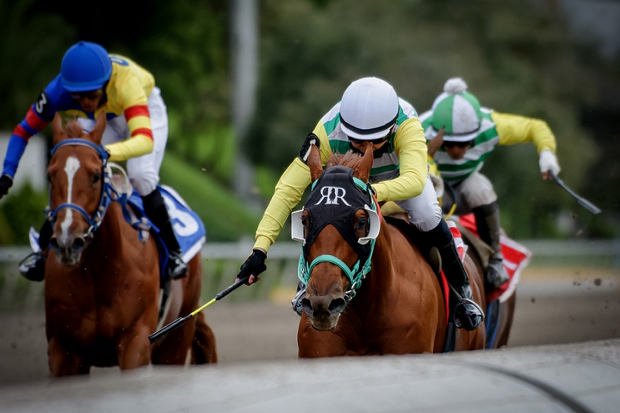 Papiro, horses, Di Giorgio, Clásico Carlos Gómez, Hipódromo de Las Américas, sábado, 3 de septiembre de 2022. Foto: Miguel Ángel Espinoza