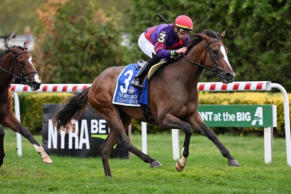 Pleasant Passage, horse, Emory A. Hamilton, Miss Grillo Stakes, sábado, 1 de octubre de 2022, Aqueduct. Foto: Coglaniese Photo