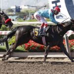 Salomar, horse, Haras Paso Nevado, Clásico Fernando Coloma Reyes, sábado, 15 de octubre de 2022, Hipódromo Chile. Foto: Jaime Cortés