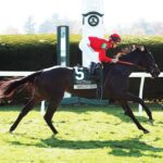Temple City Terror, horse, Temple City, Rood and Riddle Dowager Stakes, domingo, 23 de octubre de 2022, Keeneland. Foto: Coady Photography