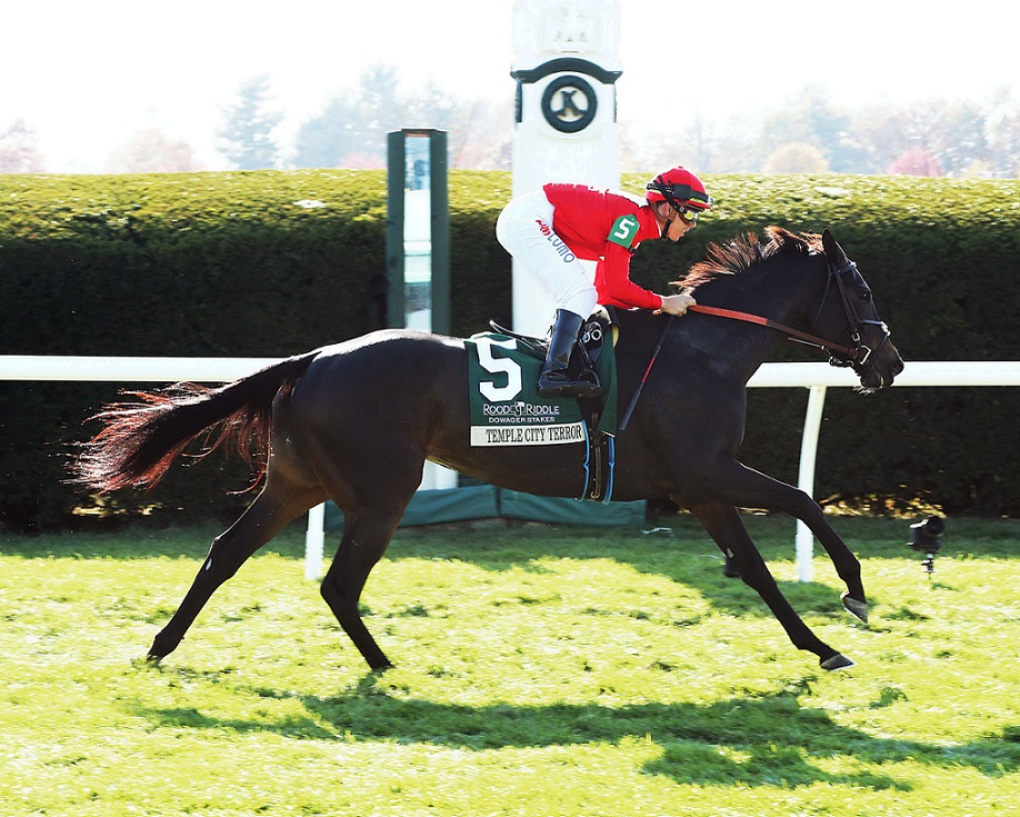 Temple City Terror, horse, Temple City, Rood and Riddle Dowager Stakes, domingo, 23 de octubre de 2022, Keeneland. Foto: Coady Photography