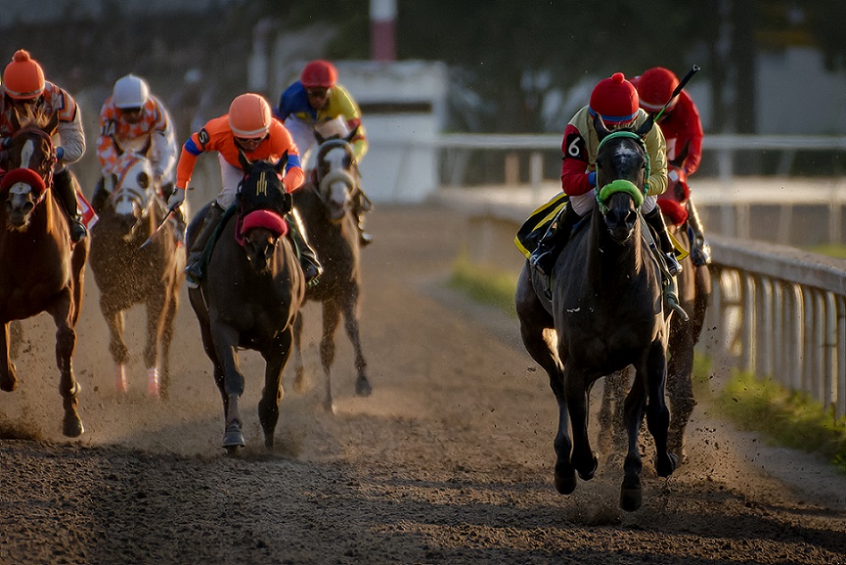 Vanadis Asquifar, horses, Rancho La Soledad de Álvarez, Clásico Vivian Récord, Hipódromo de Las Américas, sábado, 1 de octubre de 2022. Foto: Miguel Ángel Espinoza